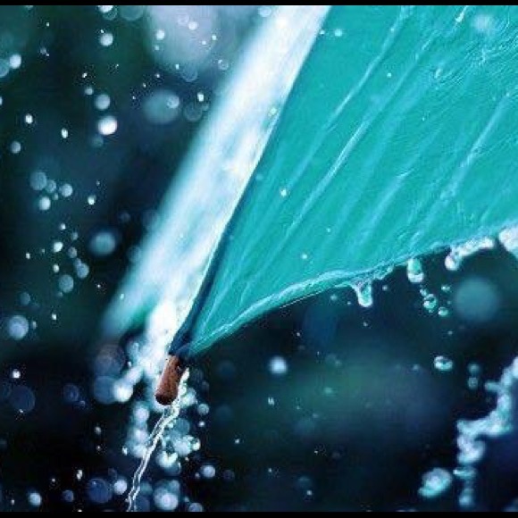 Meet your Posher, Crystal - Picture 1 of 1